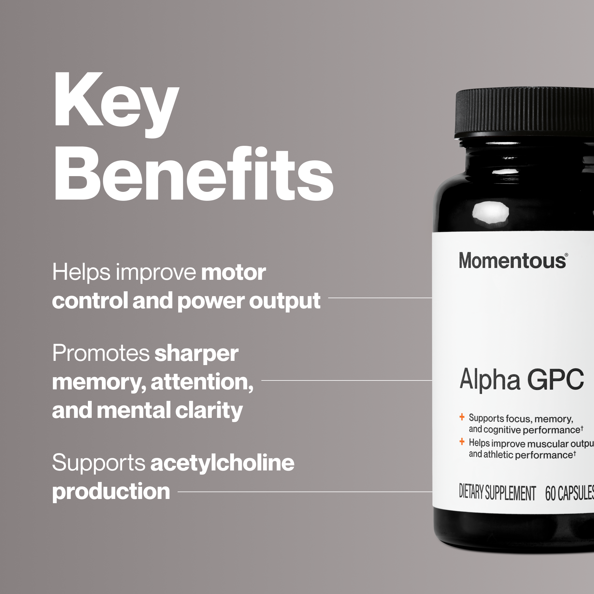 Alpha GPC