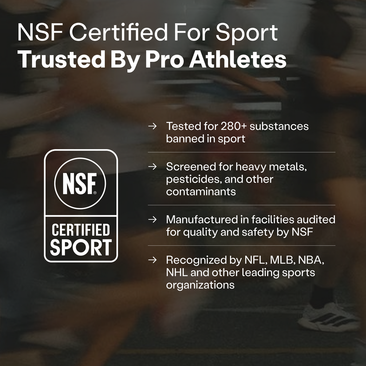 Humann Endurance Beet Powder (Formerly SuperBeets® Sport)