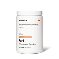 Fuel