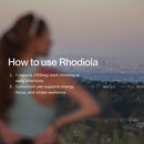 Rhodiola Rosea