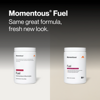 Fuel