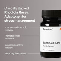 Rhodiola Rosea