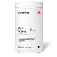 100% Plant Protein Powder