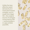 Vegan Omega-3