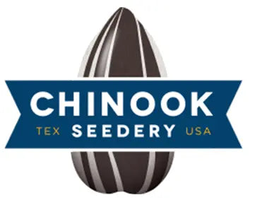 logo-chinook-case-study-2025.webp